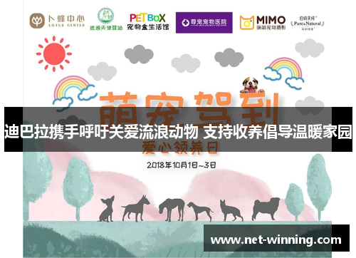 迪巴拉携手呼吁关爱流浪动物 支持收养倡导温暖家园
