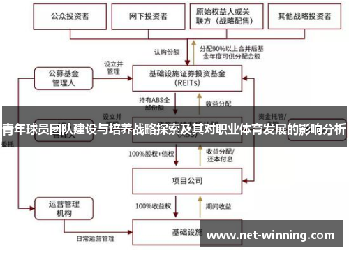 青年球员团队建设与培养战略探索及其对职业体育发展的影响分析