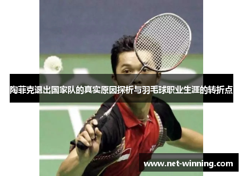 陶菲克退出国家队的真实原因探析与羽毛球职业生涯的转折点 陶菲克退出国家队的真实原因探析与羽毛球职业生涯的转折点