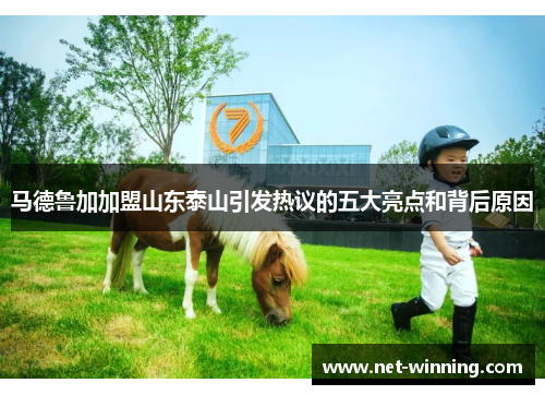 马德鲁加加盟山东泰山引发热议的五大亮点和背后原因 马德鲁加加盟山东泰山引发热议的五大亮点和背后原因