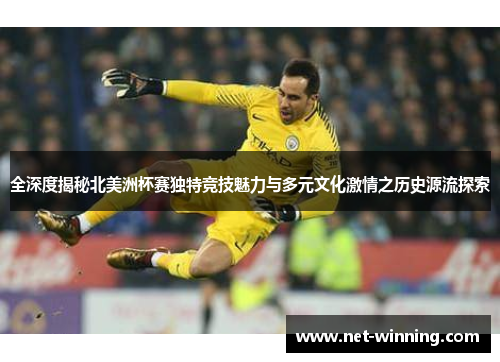 全深度揭秘北美洲杯赛独特竞技魅力与多元文化激情之历史源流探索