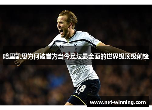 哈里凯恩为何被誉为当今足坛最全面的世界级顶级前锋