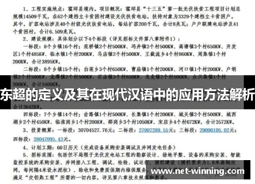 东超的定义及其在现代汉语中的应用方法解析