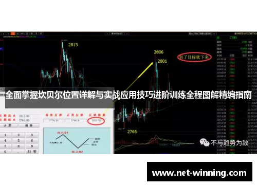 全面掌握坎贝尔位置详解与实战应用技巧进阶训练全程图解精编指南