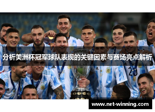 分析美洲杯冠军球队表现的关键因素与赛场亮点解析