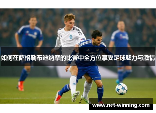 如何在萨格勒布迪纳摩的比赛中全方位享受足球魅力与激情