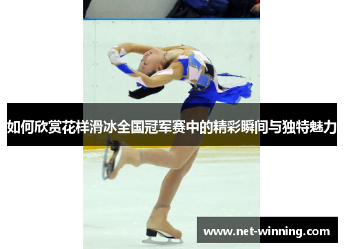 如何欣赏花样滑冰全国冠军赛中的精彩瞬间与独特魅力