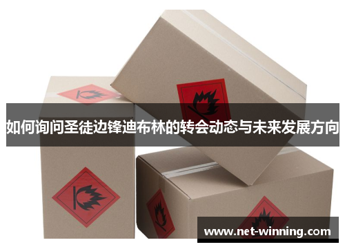 如何询问圣徒边锋迪布林的转会动态与未来发展方向