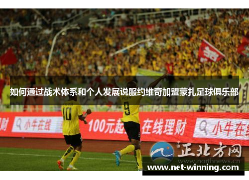 如何通过战术体系和个人发展说服约维奇加盟蒙扎足球俱乐部