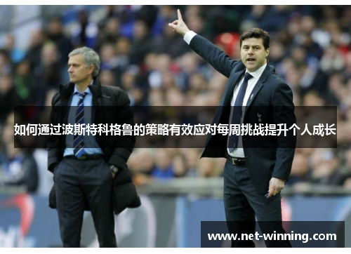 如何通过波斯特科格鲁的策略有效应对每周挑战提升个人成长 如何通过波斯特科格鲁的策略有效应对每周挑战提升个人成长