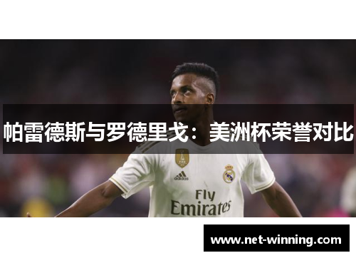 帕雷德斯与罗德里戈：美洲杯荣誉对比