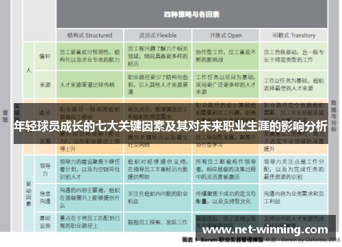 年轻球员成长的七大关键因素及其对未来职业生涯的影响分析
