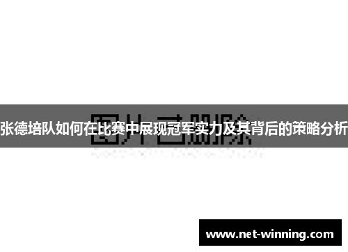 张德培队如何在比赛中展现冠军实力及其背后的策略分析