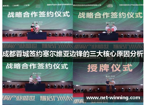 成都蓉城签约塞尔维亚边锋的三大核心原因分析