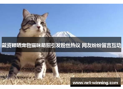 戴资颖晒宠物猫咪萌照引发粉丝热议 网友纷纷留言互动 戴资颖晒宠物猫咪萌照引发粉丝热议 网友纷纷留言互动