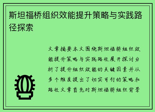 斯坦福桥组织效能提升策略与实践路径探索